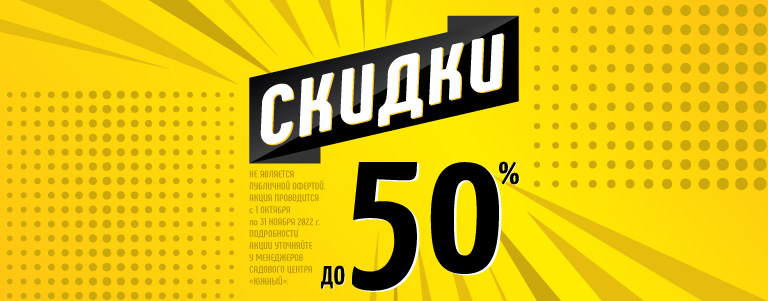 Анонсная картинка