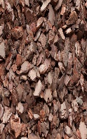 Кора сосны крупная/Спектр/