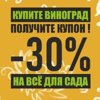 Купон 30% НА ВСЁ за Виноград!