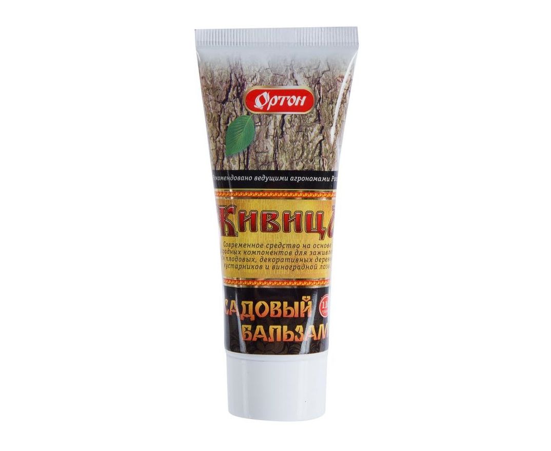 Фунгицид Бальзам садовый Живица 250г