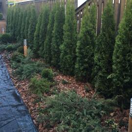 Барвиха Хиллс Барвиха Хиллс