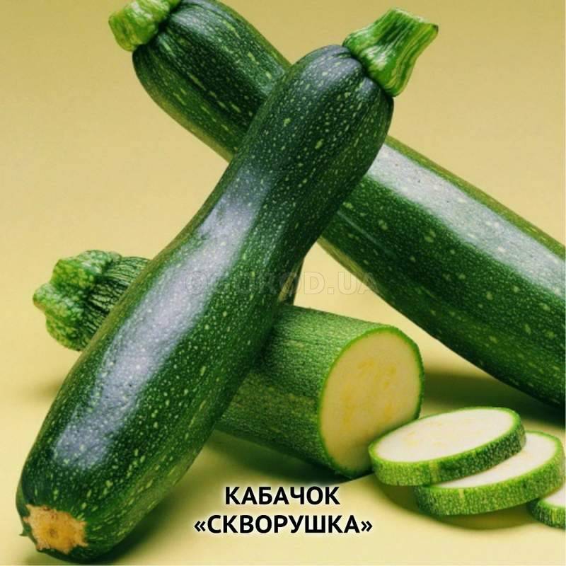 Кабачок 'Скворушка'