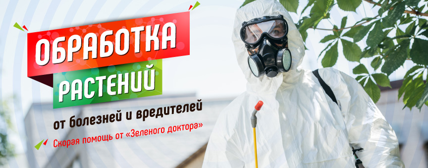 Анонсная картинка