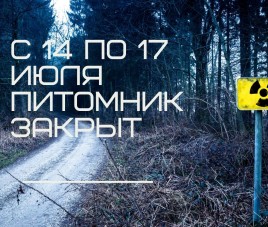 Новости С 15 по 17 июля садовый центр не работает!