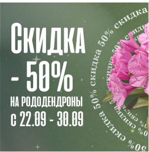 СКИДКА -50% на Рододендроны!