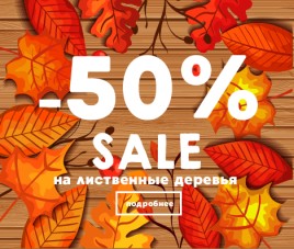 Скидка 50% на лиственные капельного полива