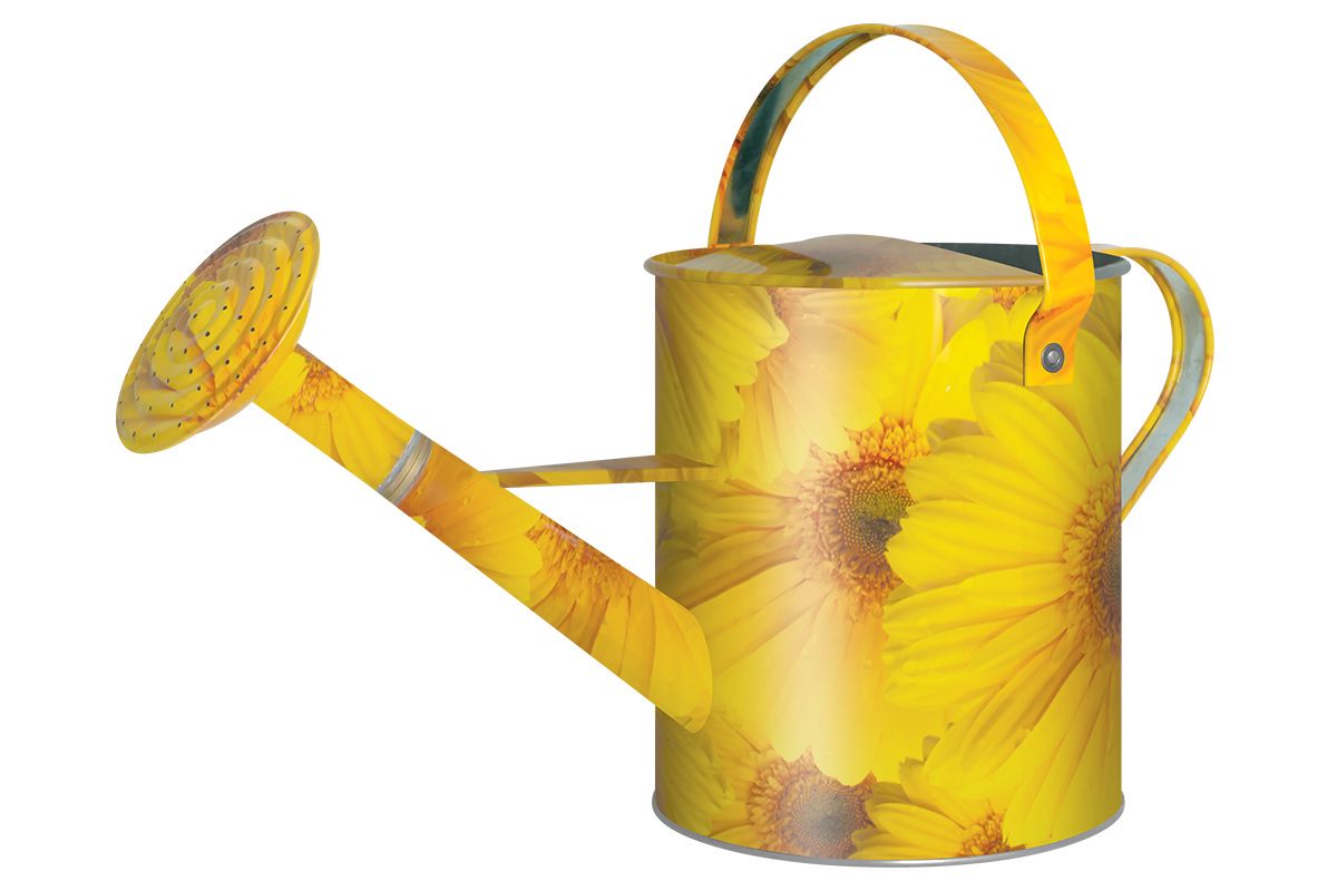 Лейка 10л Герберы 