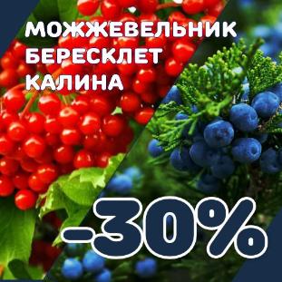 Новости Скидка 30% на лучшие хвойные и декоративные кустарники!