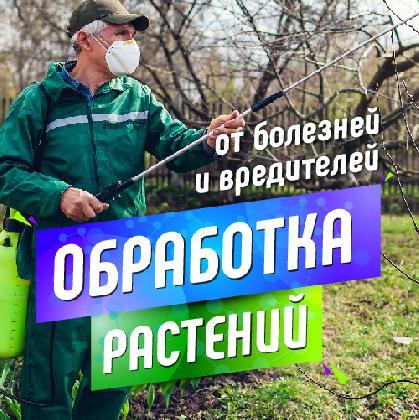 Новости Хим обработка 2024