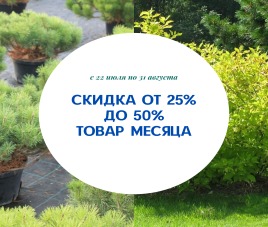 Товар месяца Август 2020 - Скидка до 50%