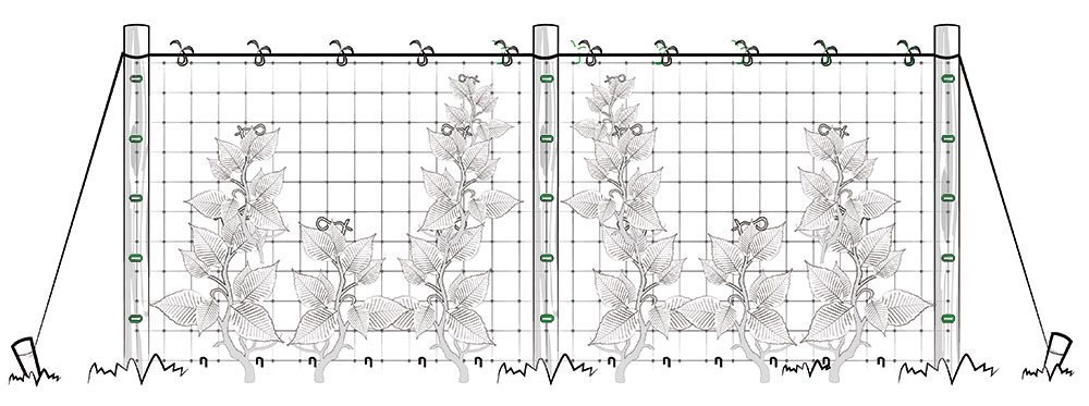 Шпалера для гороха (Черняев)