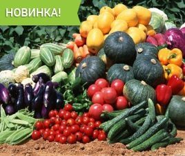 Рассада овощных культур и пряных трав 2017