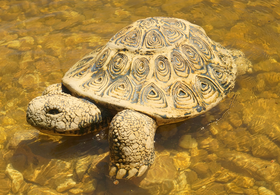 Шамот Черепаха большая закрытая садовая фигура 