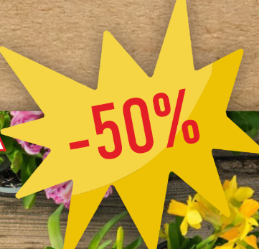 Садовая Черная Пятница! С 27 по 4 ноября