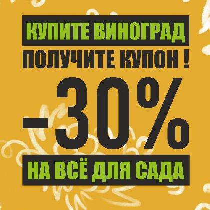 Новости Купон 30% НА ВСЁ за Виноград!