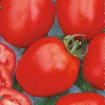 Томат сливовидный 'Богач'