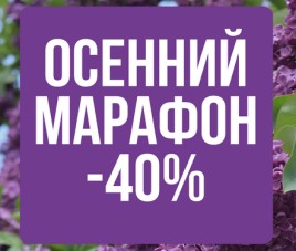 Скидка 40% на Рододендрон и Сирень