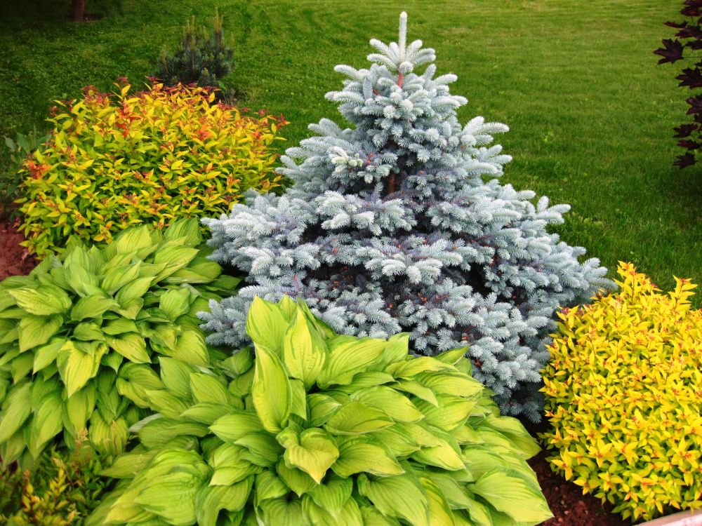 Ландшафтный дизайн: Готовый проект участка 15 соток КП в г. Чехов ...