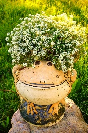 Шамот Лягушка на камне 