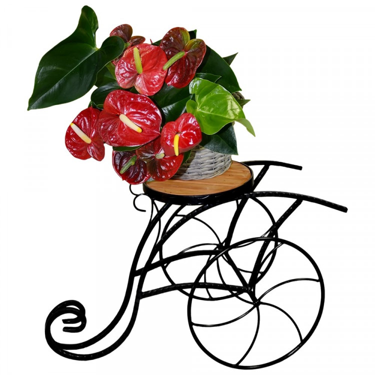 Подставка напольная (металл+дерево) 59-401 на 1 цв (Айронкр)