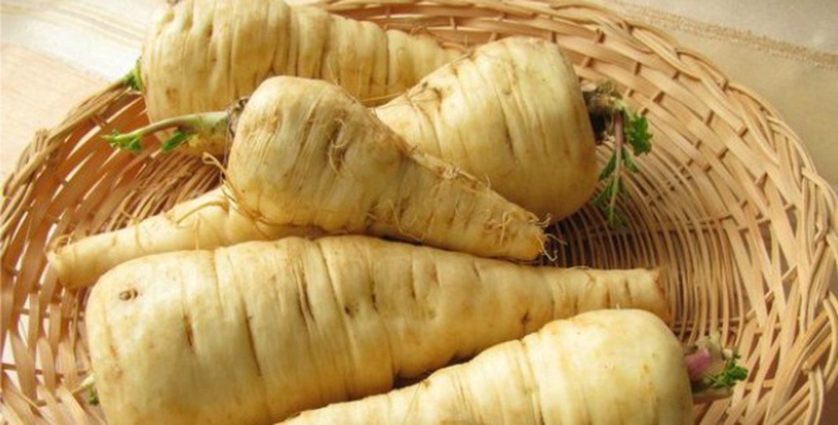 Семена Пастернак