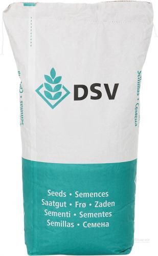 Газон Бомбардир DSV (Германия)