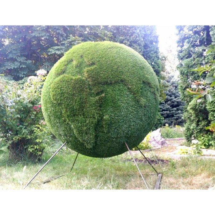 Шар-топиарий 