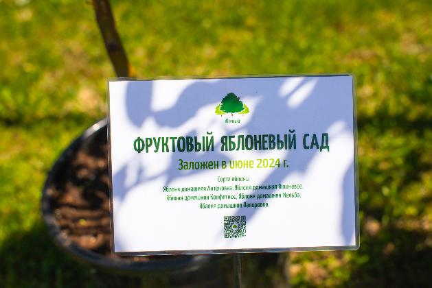 Новости Мастер-класс от СЦ "Южный в КП Beketovo Park