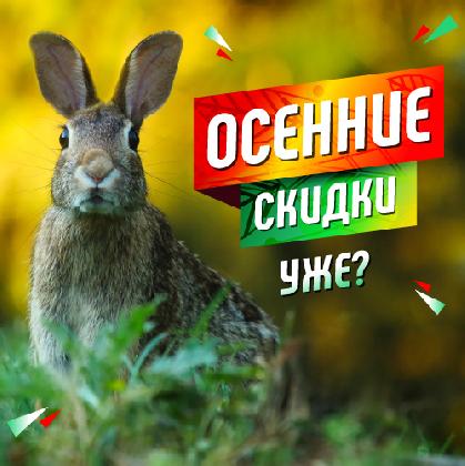 Новости Огромные ОСЕННИЕ скидки уже сейчас!