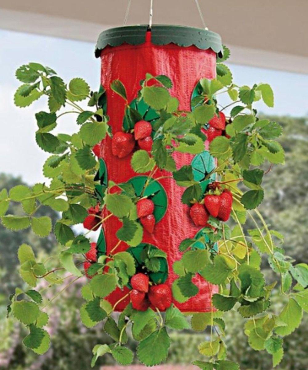 Подвесная грядка для выращивания клубники