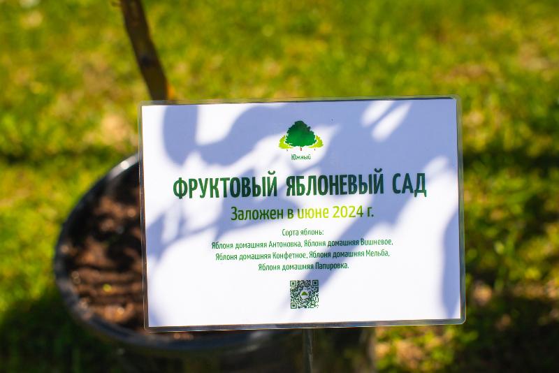 Мастер-класс от СЦ "Южный в КП Beketovo Park