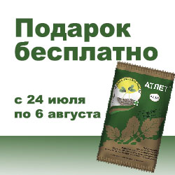 Новости Подарок бесплатно