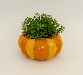 Шамот Кашпо Тыква для кактусов и суккулентов 