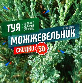 В этом году садовый центр Южный расширил свои границы…
