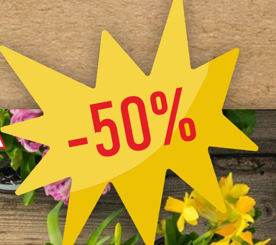 Садовая Черная Пятница! Все со скидкой -50%