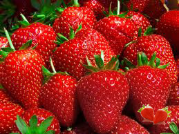 Земляника (клубника) 'Талисман'