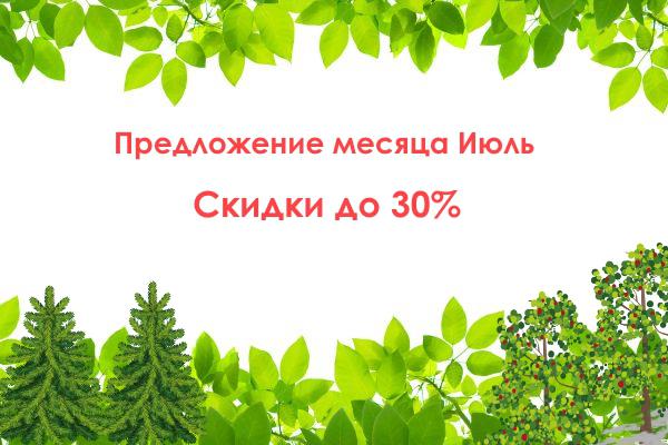 Товар месяца. Июль