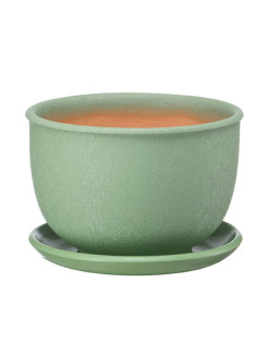 Цветник 0,8л