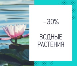 Водные растения - скидка 30%