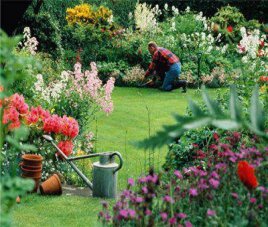 Полезные советы Апрель - работы в саду и огороде