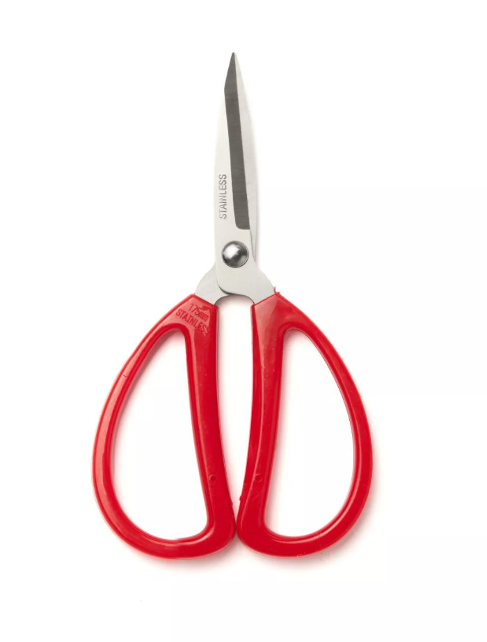 Ножницы флористические 