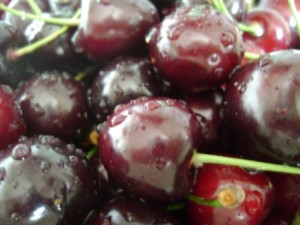 Черешня 'Оленька'