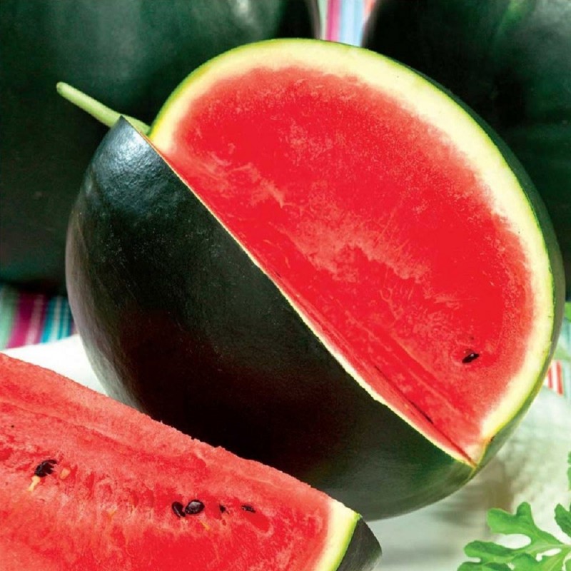 Арбуз 'Сибирские огни' 