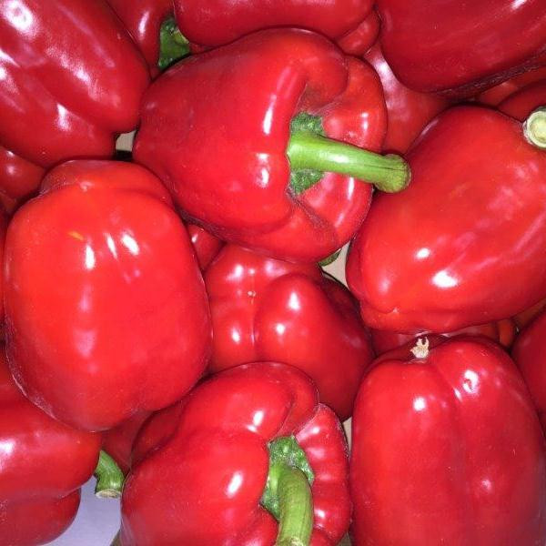 Перец сладкий 'Солист'