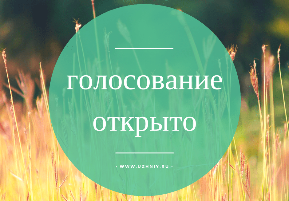 Картинка Поле со словами голосование открыто