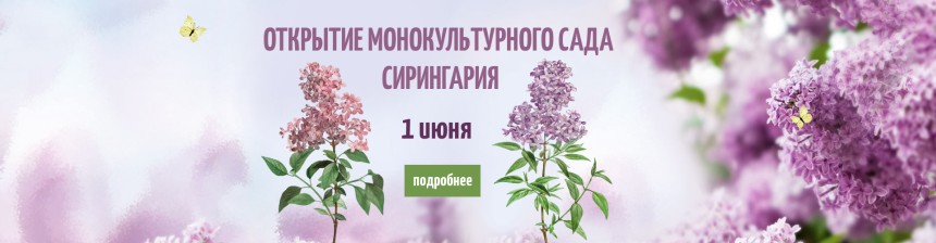 открытие сирингария открытие сирингария дата
