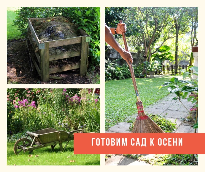 Подготовить садовую