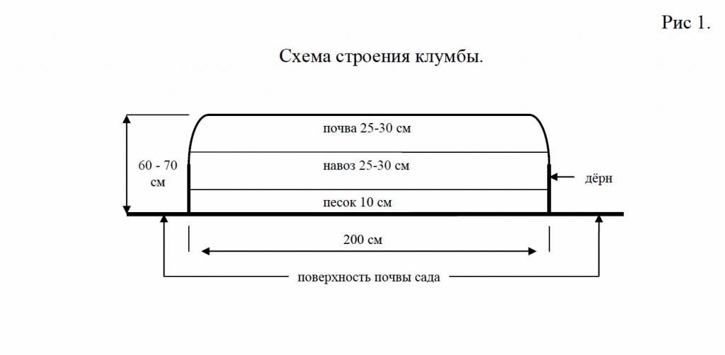 Схема строения клумбы для Абрикосов