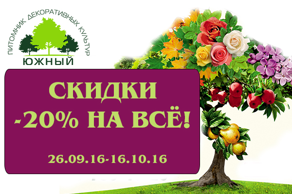 Скидка 20% на весь ассортимент