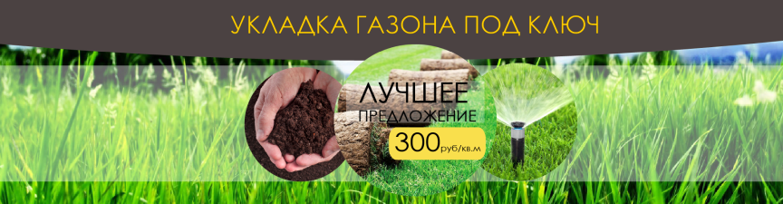 укладка газон за 300 руб